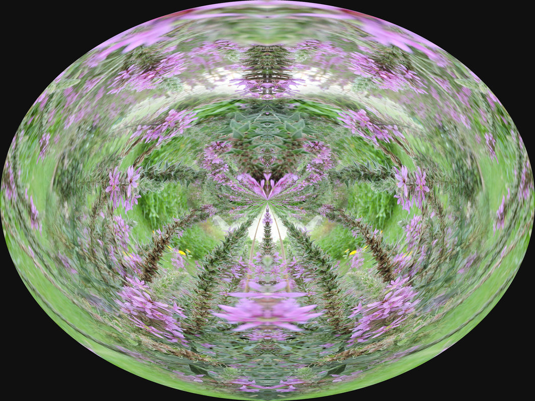 CZ Card - Lavender Garden - Mystical Scent by Cuzco Artist Channeller