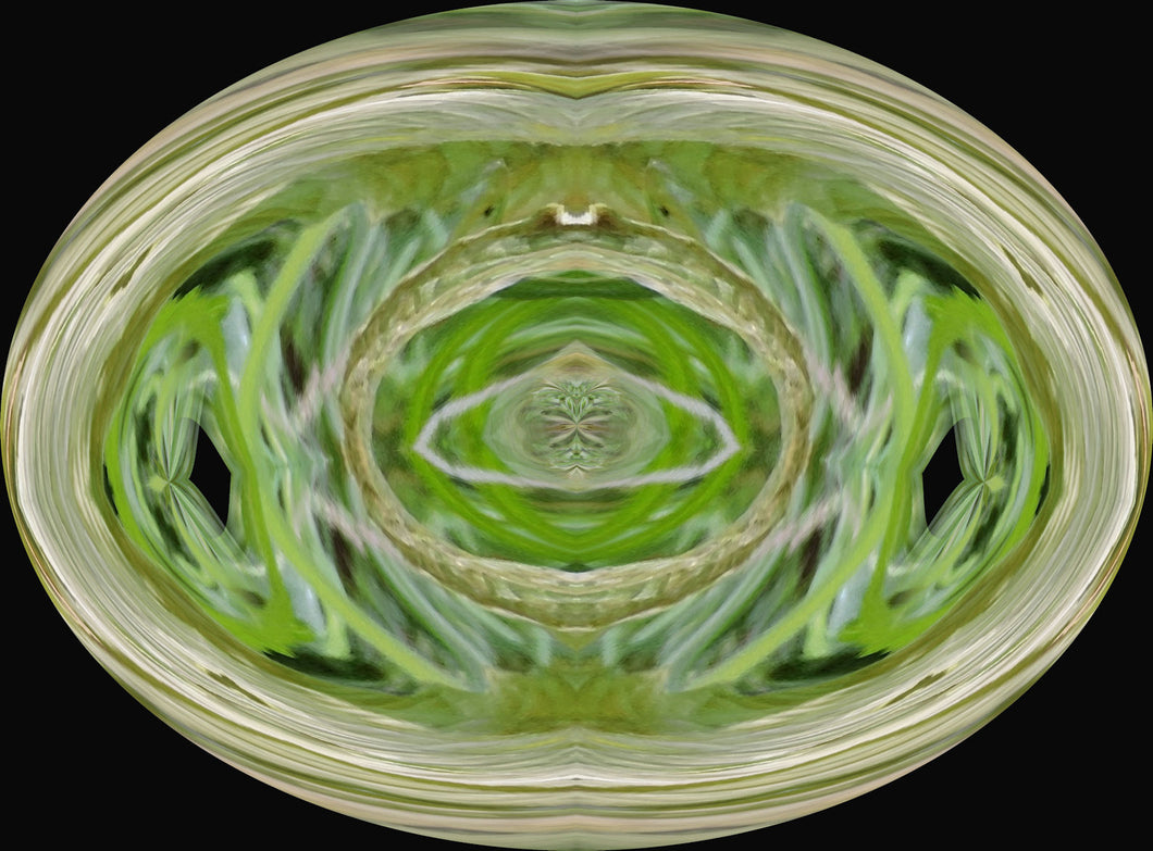 Dynamic Tiger Power Animal Connections Maintenance    by Craig MacLennan