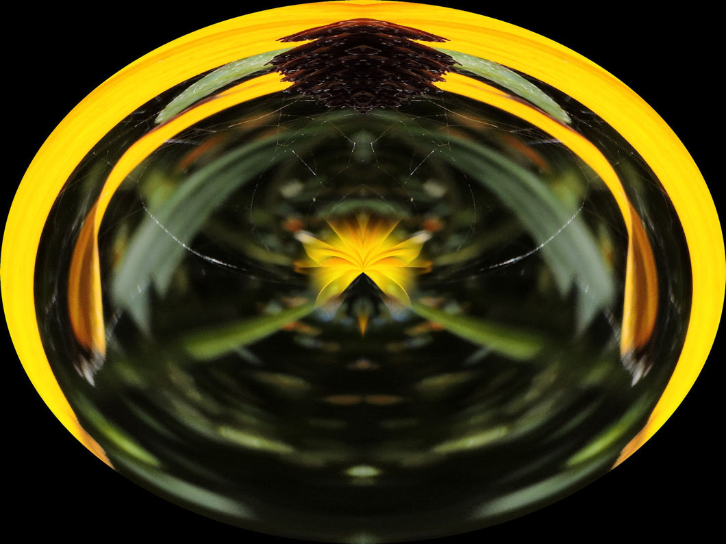 Greta's Elixirs - Erotic Power of  the Conqueror -Magical Elixir - by Teresa Rubiolo 2025