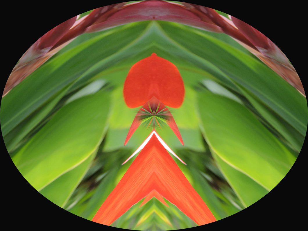 APACHE EAGLE FREEDOM TECHNIQUE™ - by Marijana Gabrielsen -