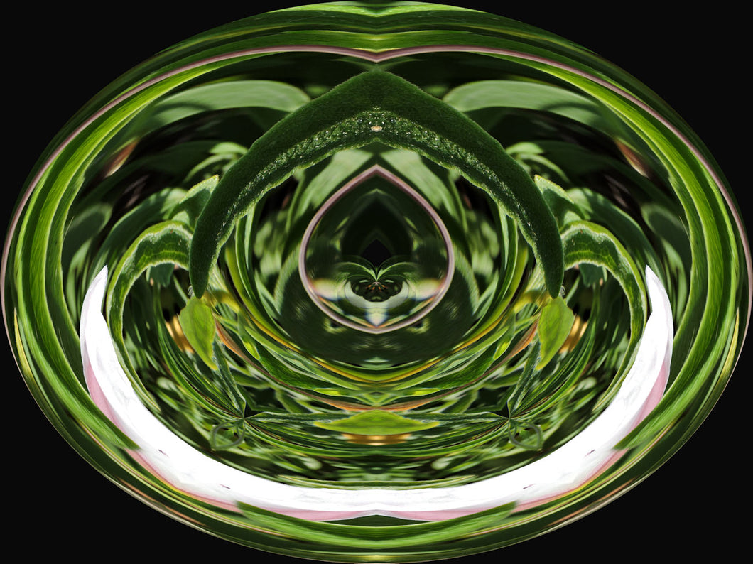 The Universal Angels Empowerment - Advanced Healing For Each Month Of The Year by Jay Burrell