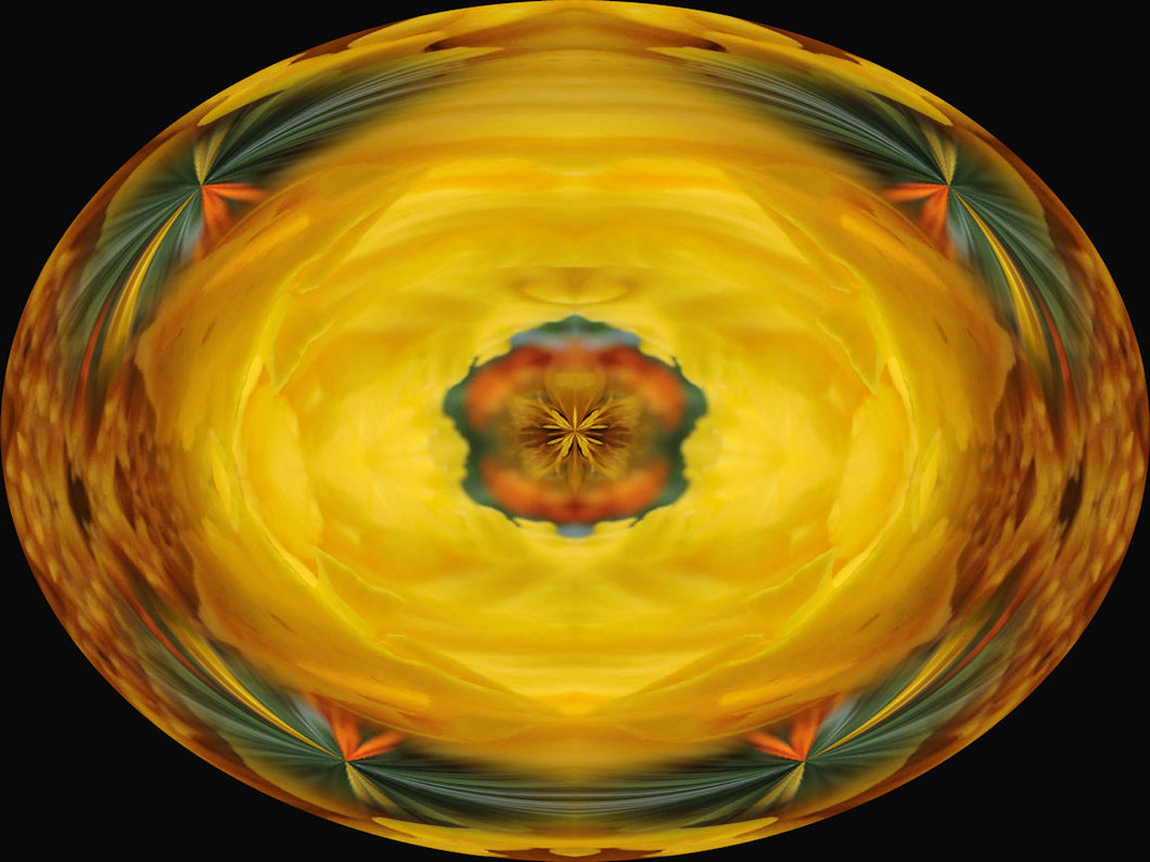 The curandera reiki by Manuela Fasoli