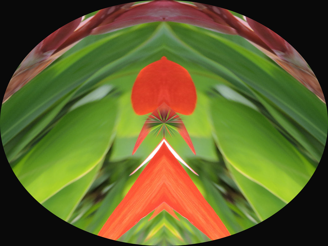 ROYAL STARS REIKI by Marijana Gabrielsen